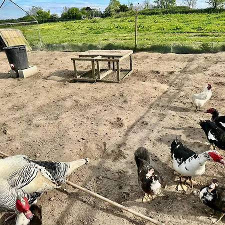 Βίλα Grande Avec Vue Mer, Et Ferme Aux Animaux *