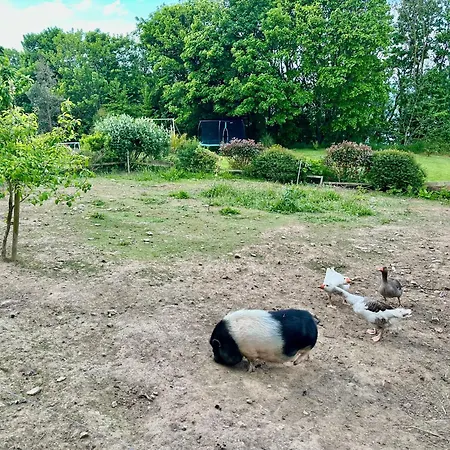 Villa Grande Avec Vue Mer, Et Ferme Aux Animaux *