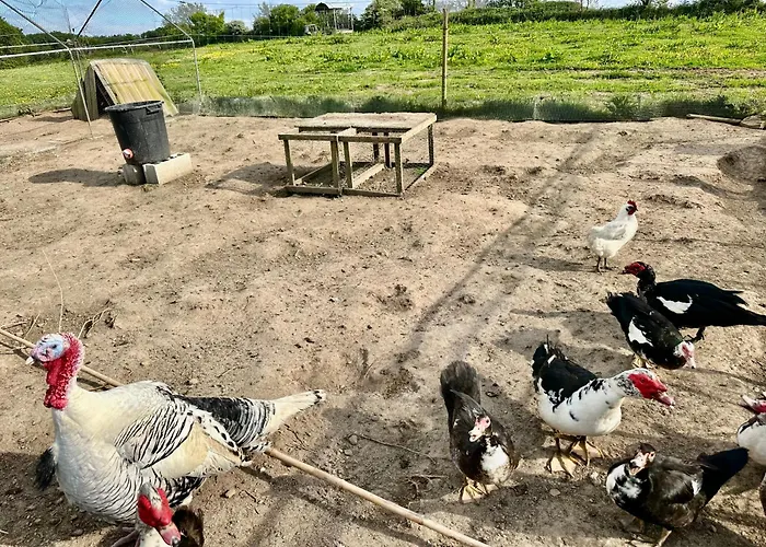 וילה Grande Avec Vue Mer, Et Ferme Aux Animaux *