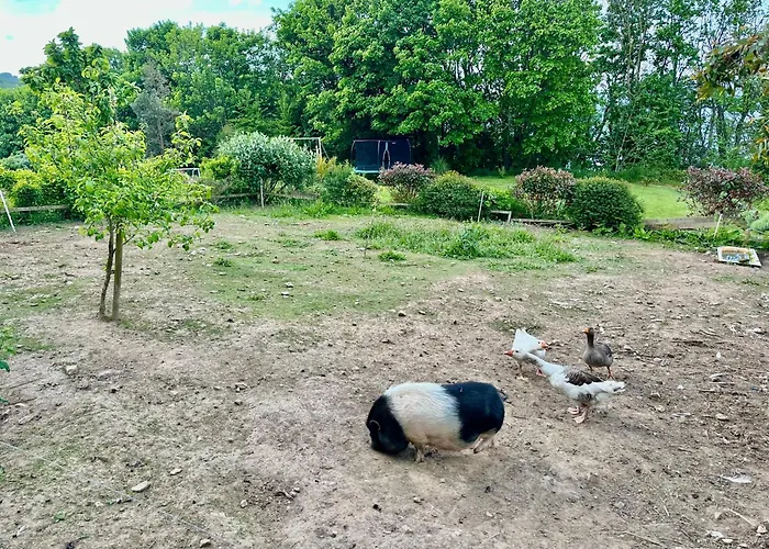 וילה Grande Avec Vue Mer, Et Ferme Aux Animaux *